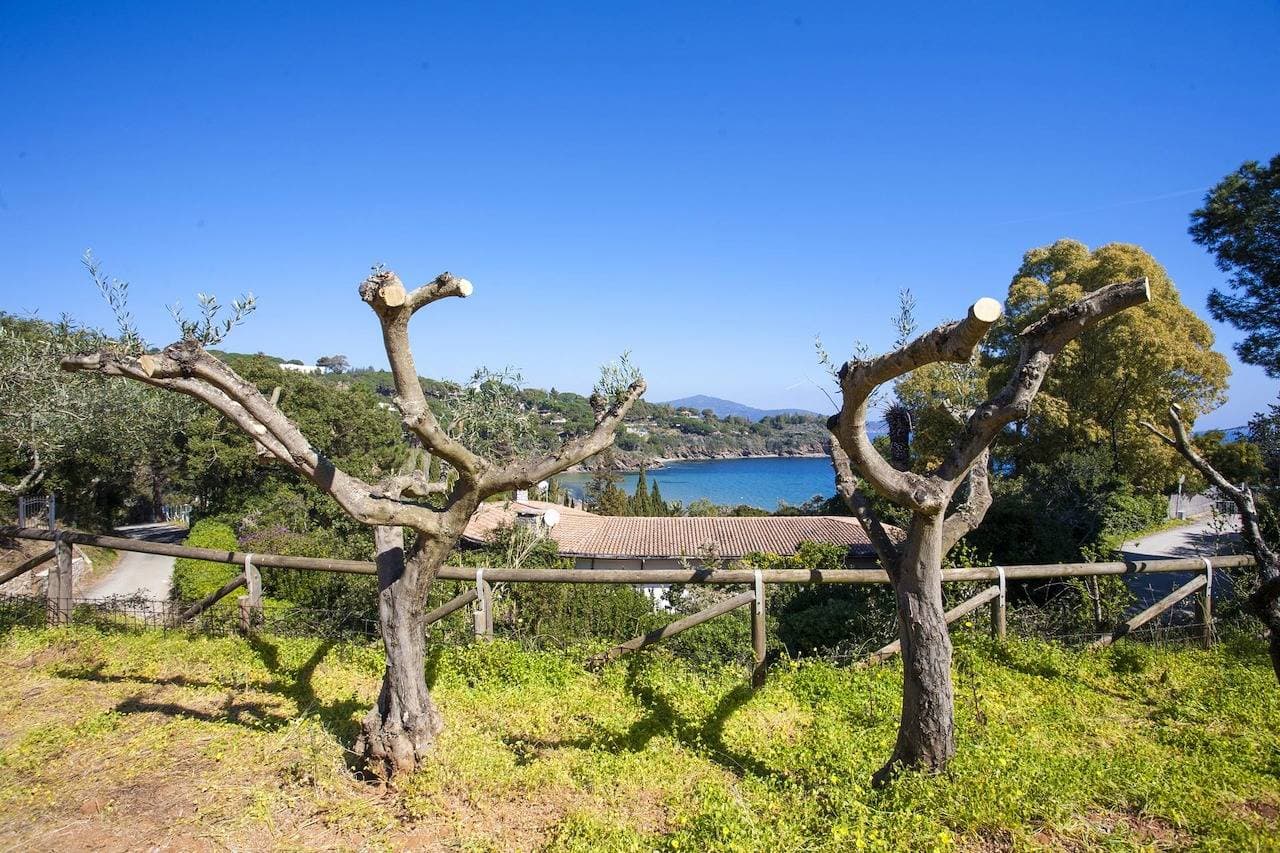 Foto 3 von 30: Villa für 5 Personen mit Garten
