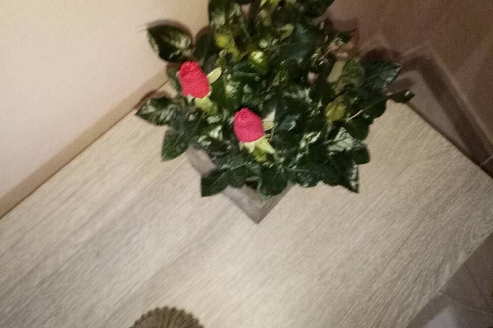 Foto 12 von 13: Schöne Wohnung im Herzen der Stadt