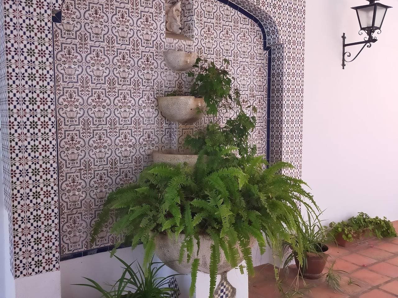 Foto 2 von 21: Apartment Lola Bajamar Nerja