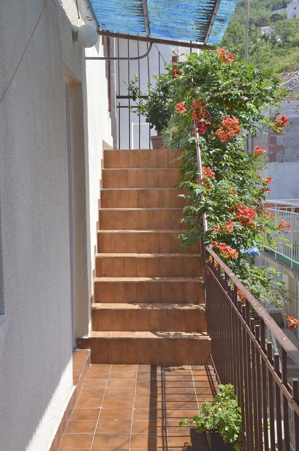 Foto 4 von 51: Apartments Soline