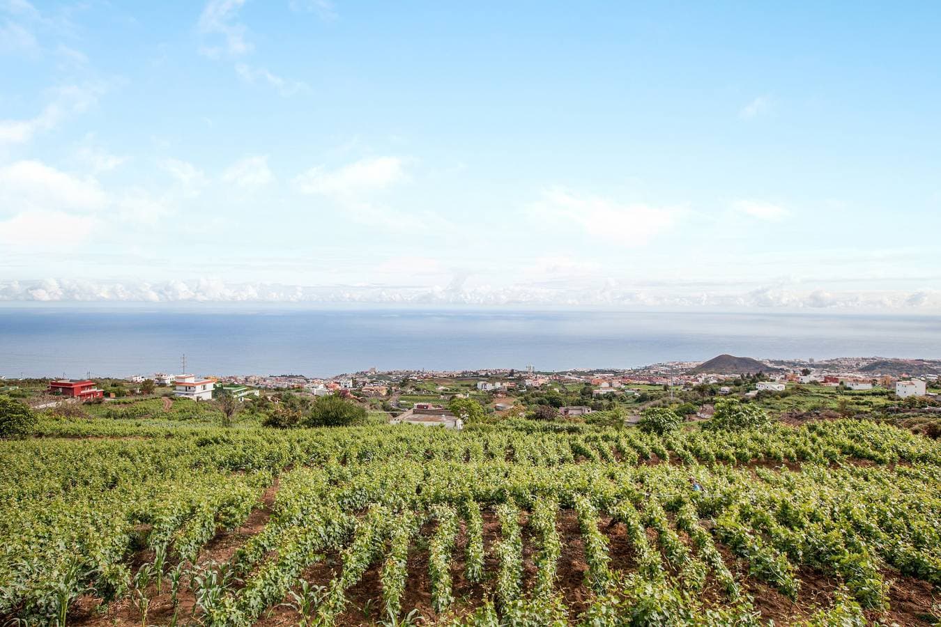 Foto 10 von 22: Ferienhaus Casa La Chocita mit Meerblick, Bergblick