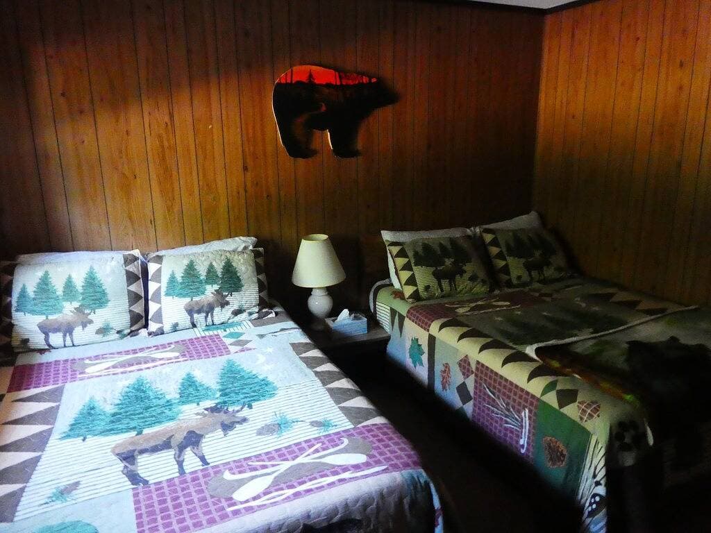 Foto 11 von 11: Bear - unit 5