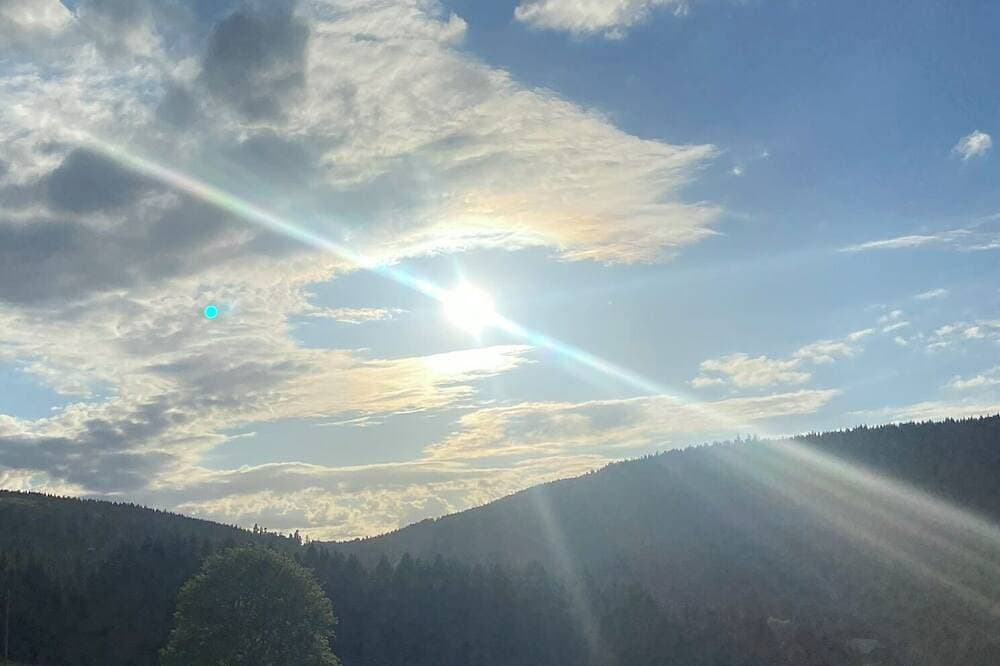 Foto 12 von 30: Ruhige Ferienwohnung 'Weideblick' mitten in der Natur in Schluchsee-Blasiwald