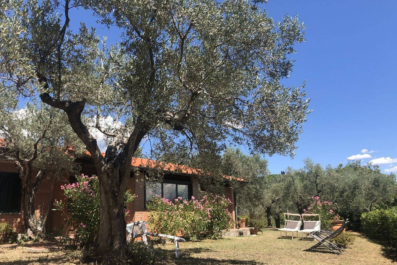 Foto 5 von 34: Cottage Gaia mit Meerblick by ToscanaTour