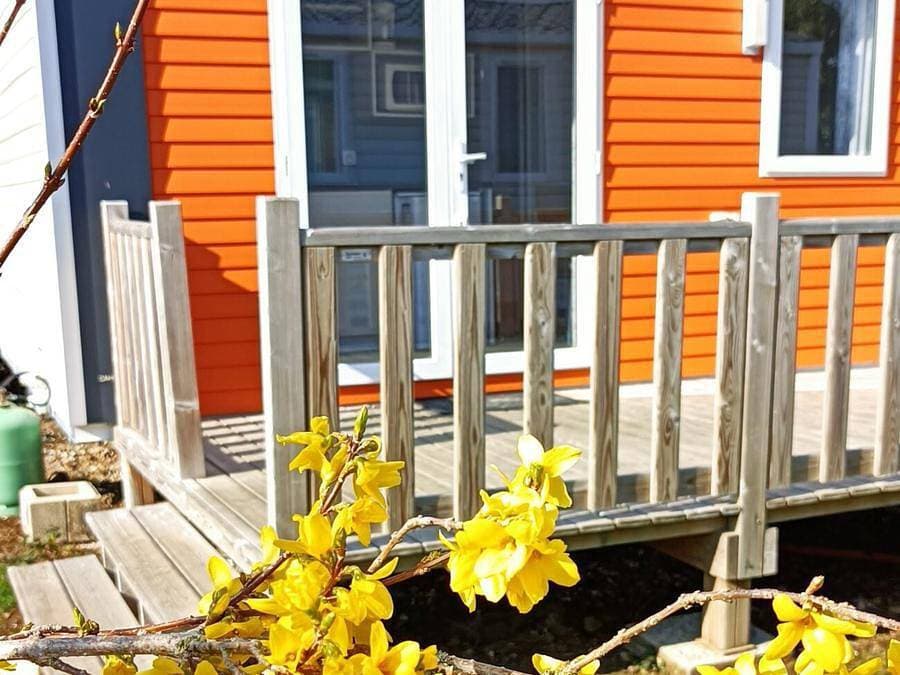 Flower Camping Vitamin - Mobilheim 2 personen - Cahita Standard 17.8m² (1 Schlafzimmer) + TV + Terrasse