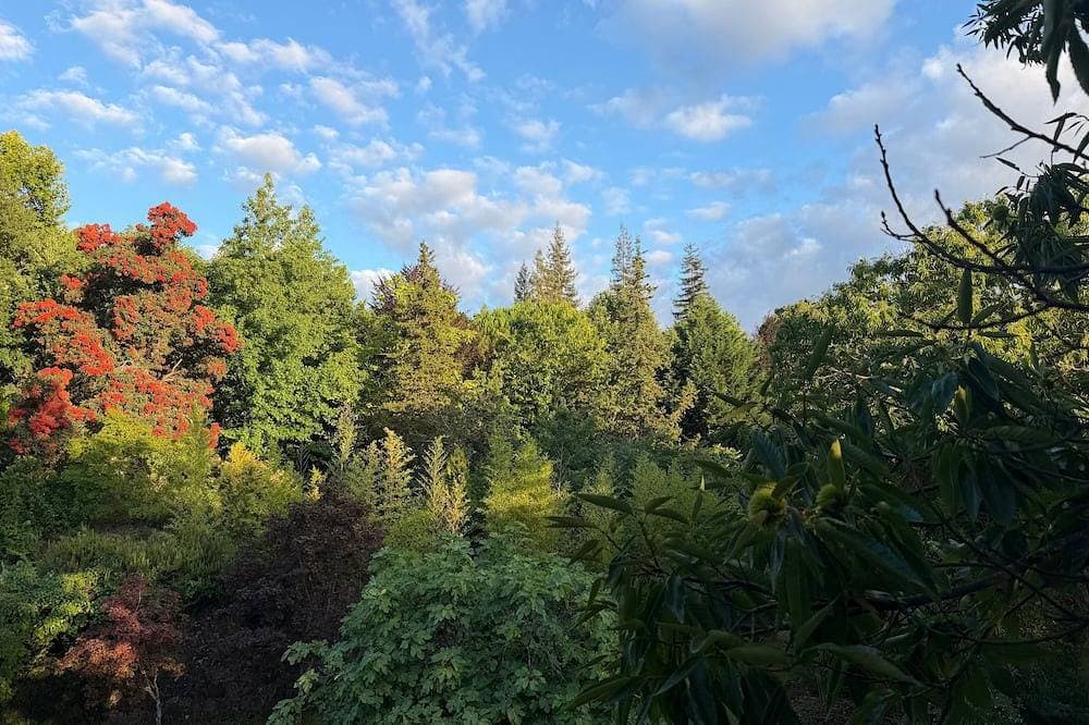 Foto 12 von 27: Suite Camélia mit Gemeinschaftspool und privatem Garten