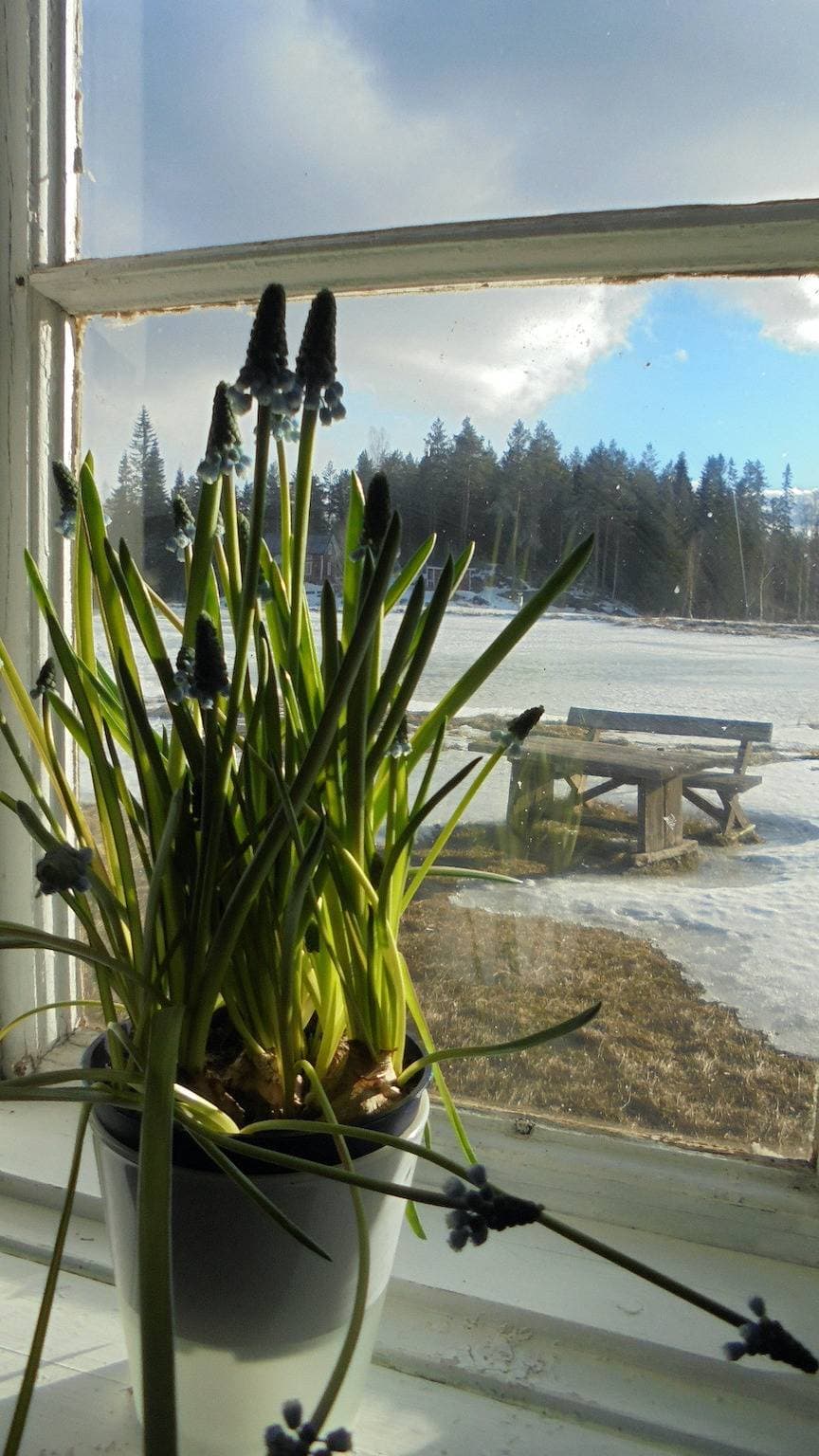 Foto 7 von 25: Urlaub im Herzen von Bergslagen an einem kleinen See