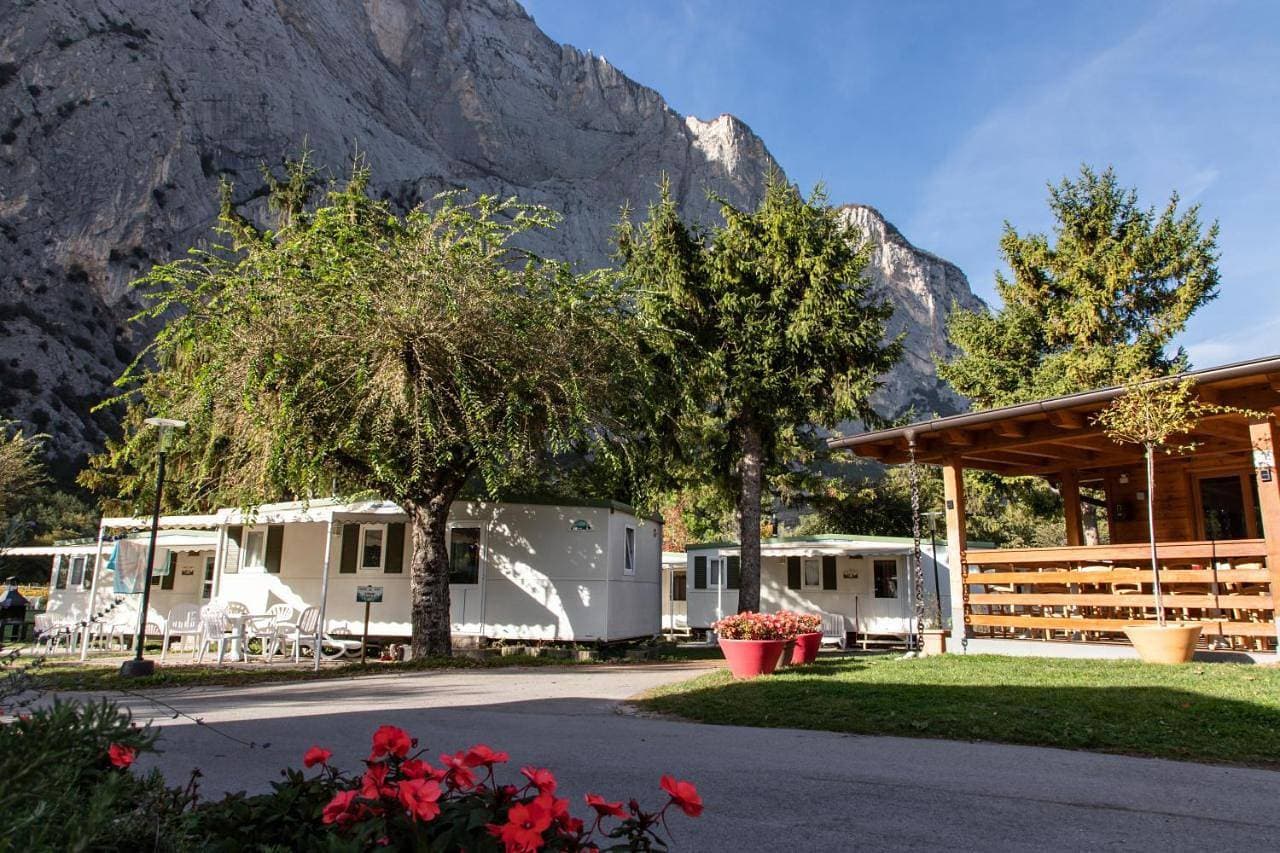 Camping Daino 1