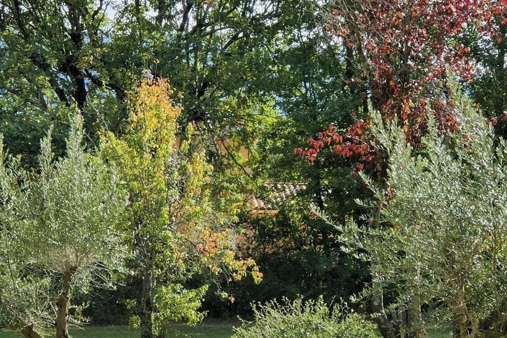 Foto 13 von 25: Villa auf einem Hektar schattigem Grundstück in der Provence Verte