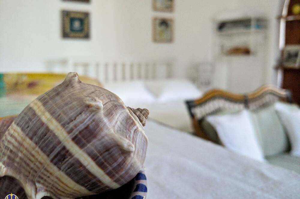 Foto 2 von 30: Villa Neptune at the beginning of the Amalfi Coast Cin No. It065157B4Vgm390Gl.