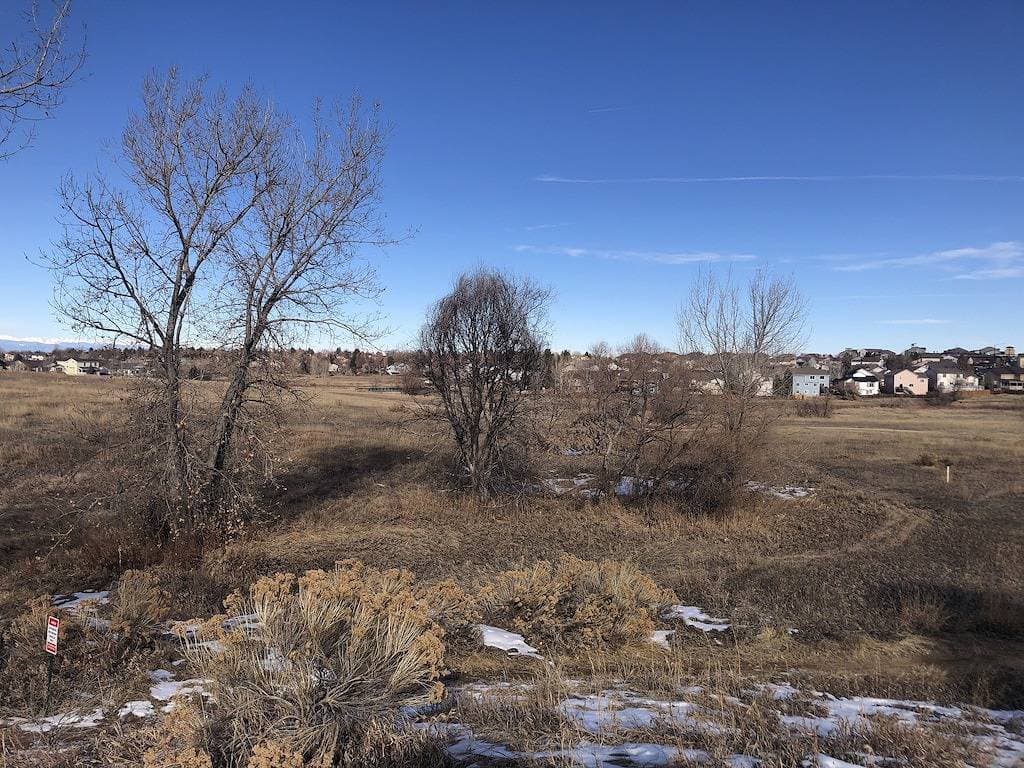 Foto 5 von 30: Atemberaubendes, aktualisiertes 3 Br / 2 Ba-Haus in der Nähe der Cherry Creek & Quincy Reservoirs
