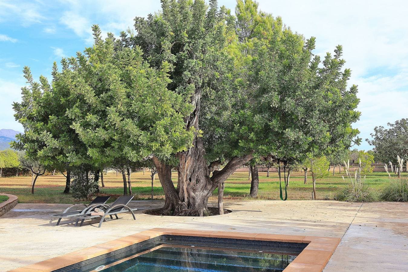 Foto 9 von 49: 151 Villa Es Triquet Et/3366 by Mallorca Charme