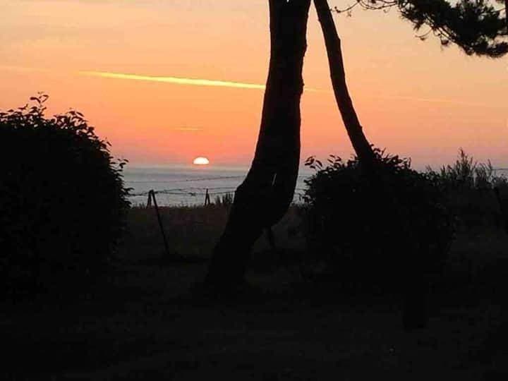 Foto 5 von 20: Villa