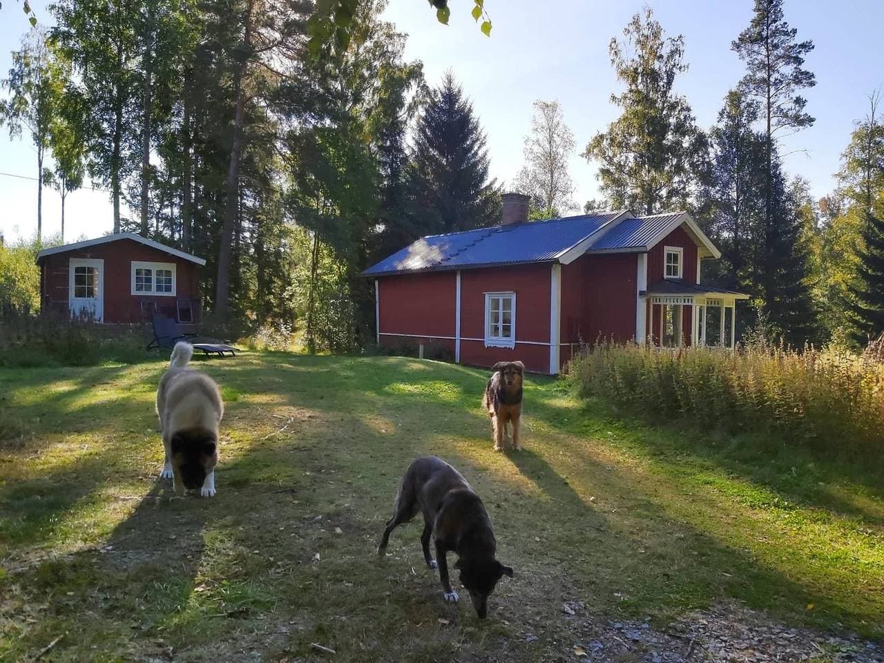 Foto 3 von 25: Wunderschönes Feriengrundstück mit Alleinlage im Wald