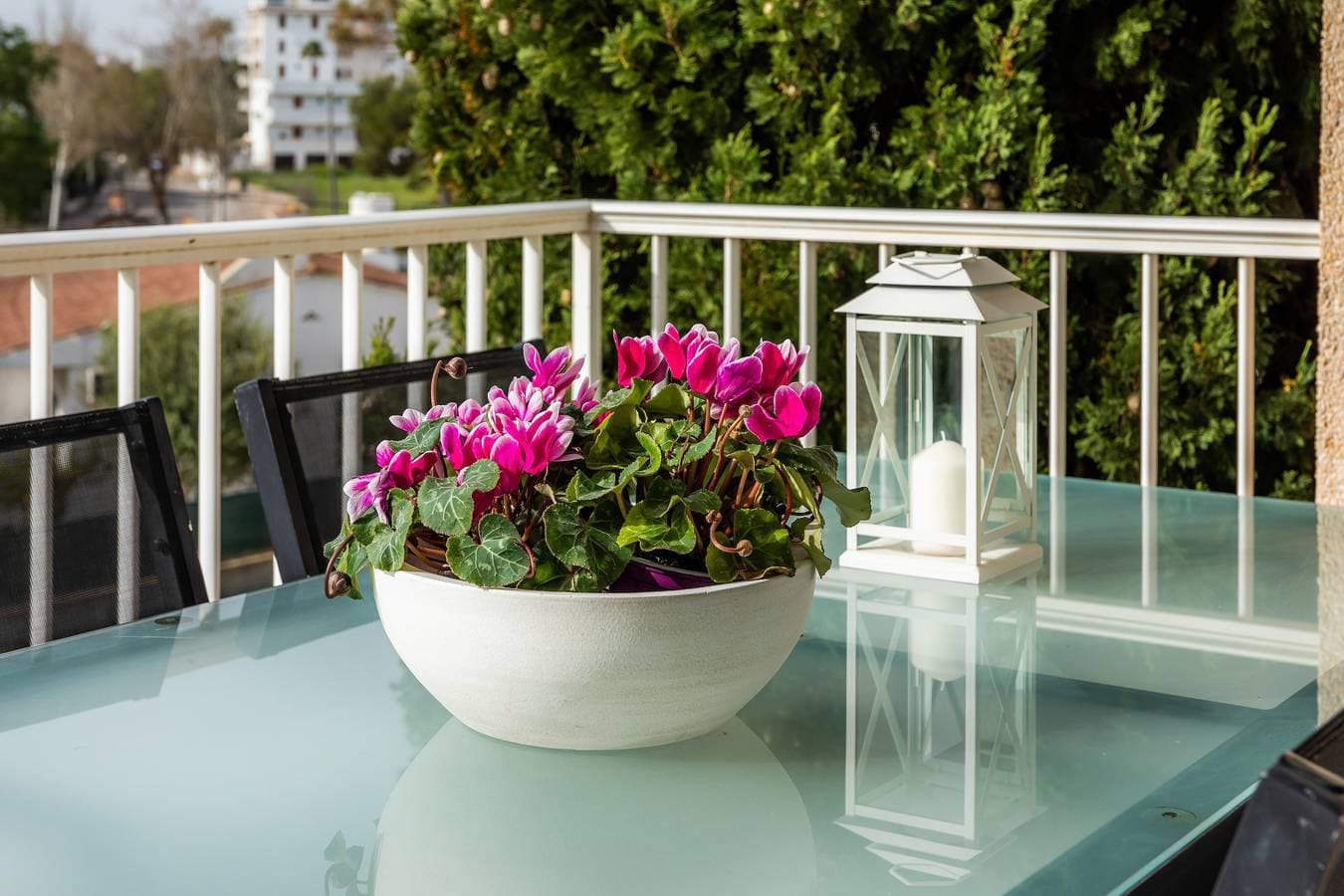 Foto 3 von 25: Ferienwohnung 'Angy' mit Garten, Terrasse und WLAN