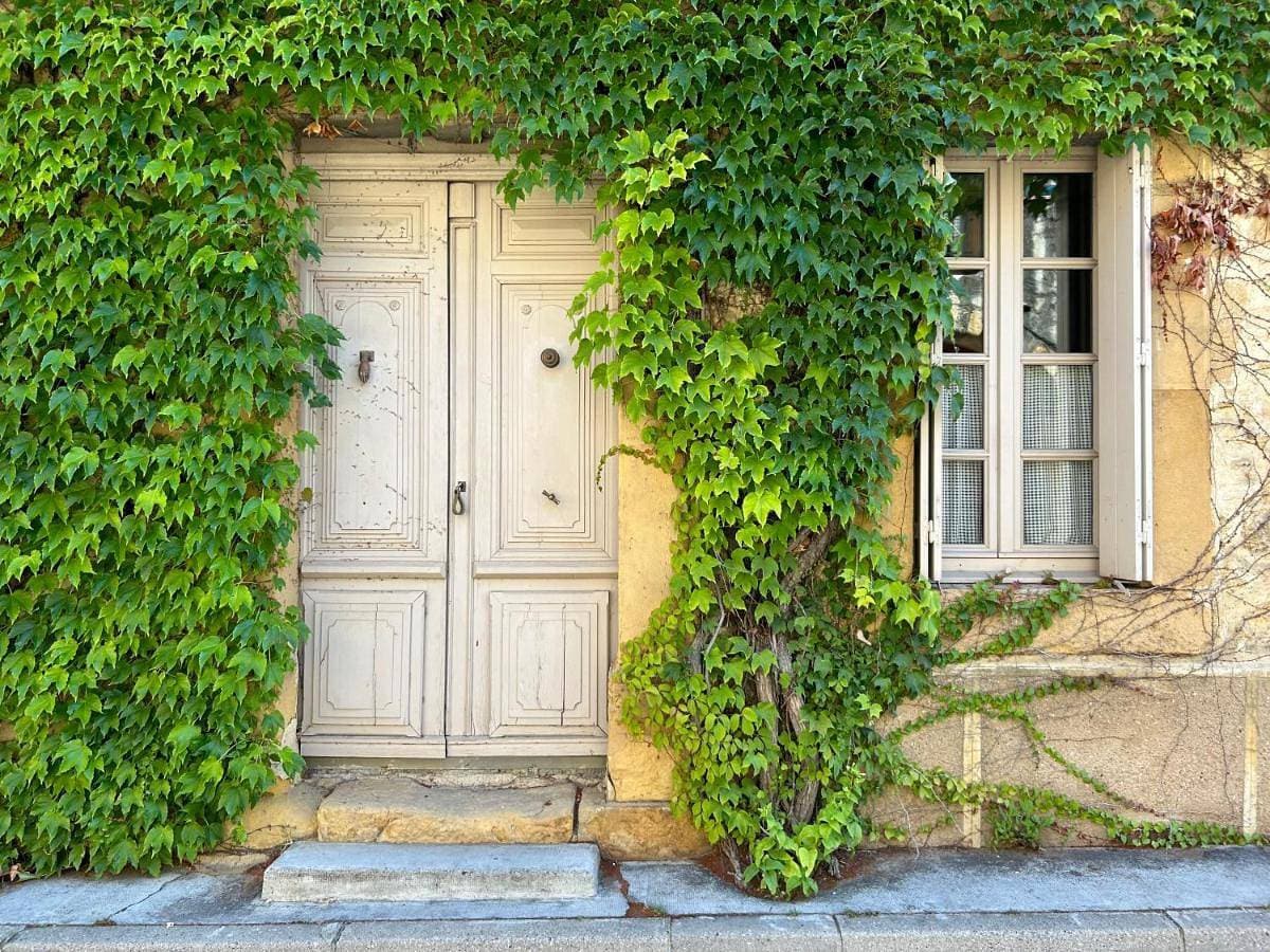 Chez Elise - Gîte de charme - Abbaye de Fontfroide 1