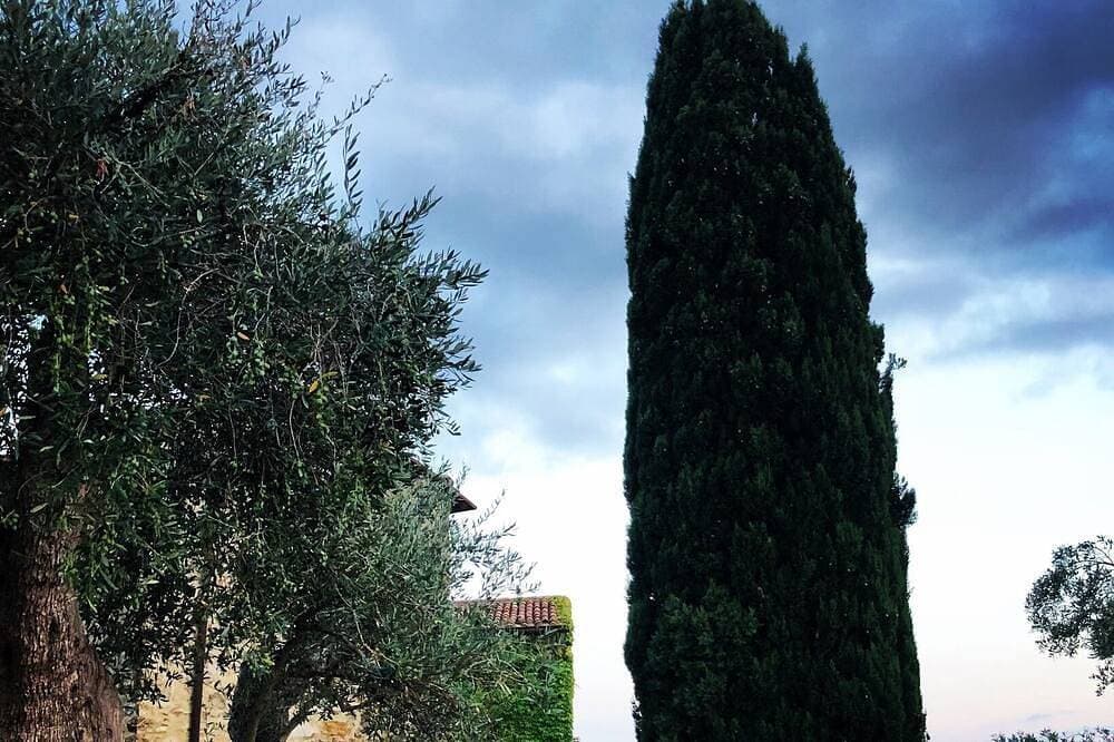 Foto 9 von 29: Romantic HideAway in an Old Olive Grove - EcoTourism - Huge Pool