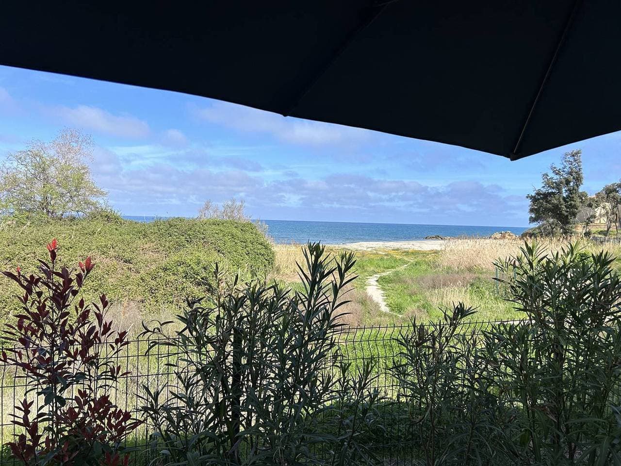 Wohnung am Strand mit Meerblick - Beheizter Pool, WLAN, Klima, 3 Zimmer - Linguizzetta 1