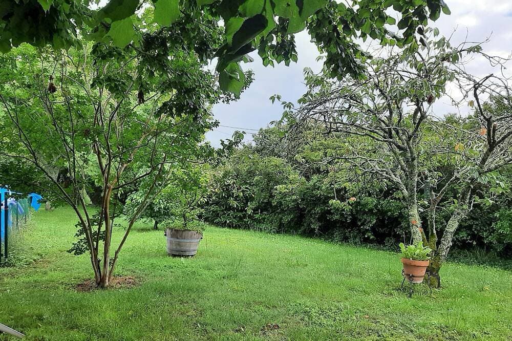 Foto 13 von 30: Ferienhaus \"château les Cèdres\" 4 Pers. 90 m2, im Herzen des Weinbergs