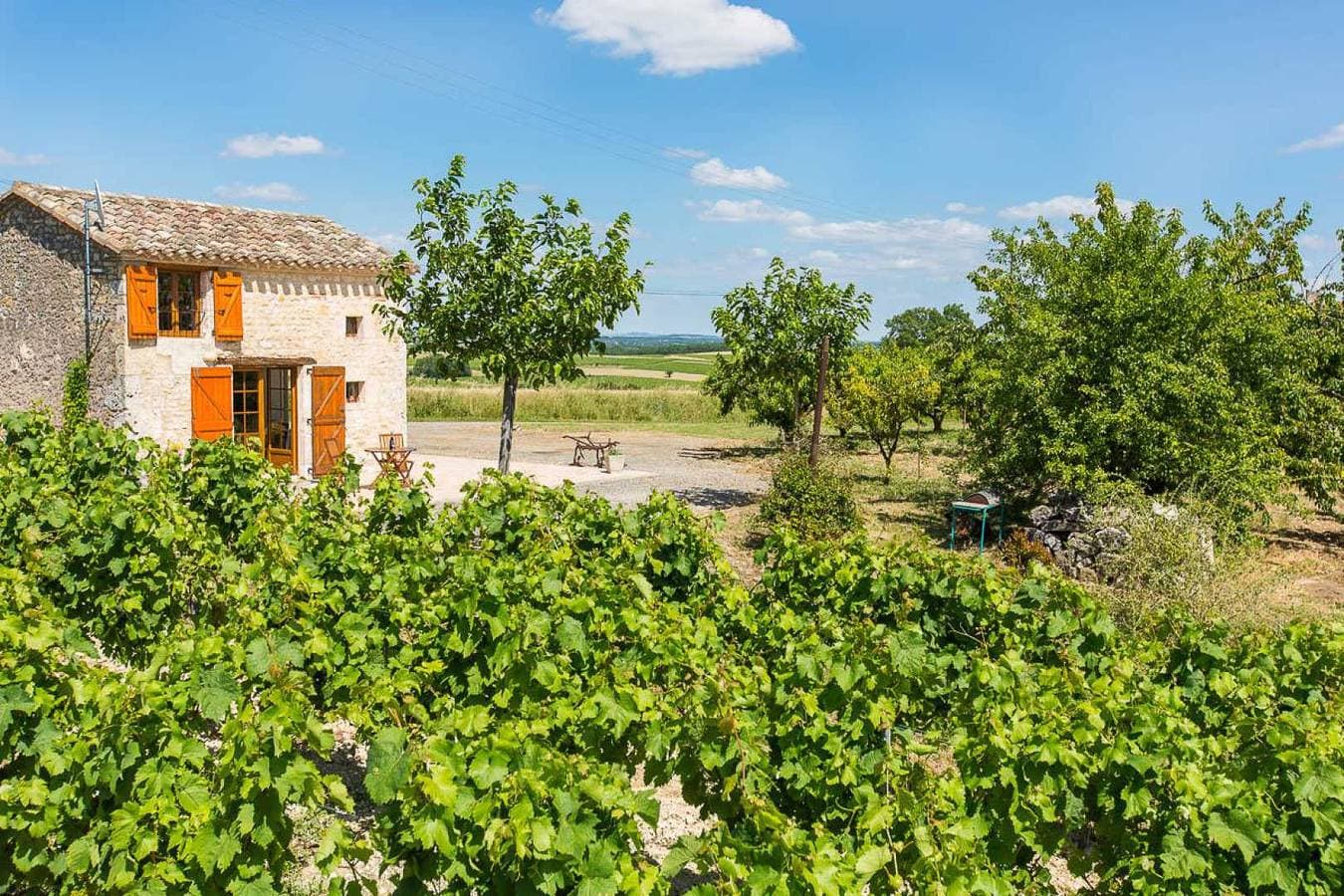 Foto 2 von 26: La Cabane du Vigneron