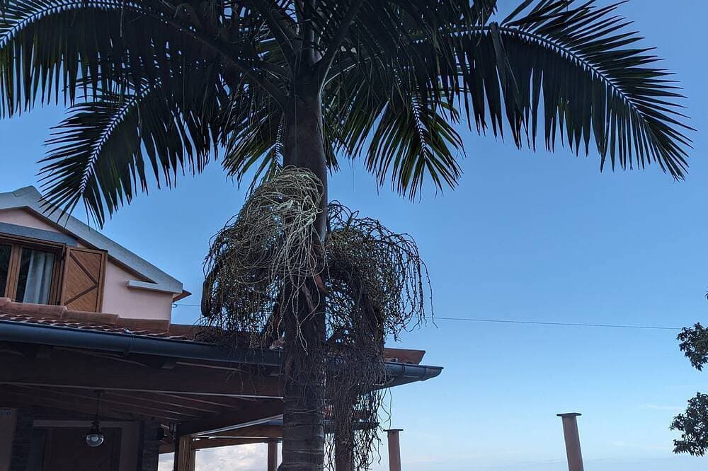 Das Chalet Terra Vieira hat einen Blick auf die Berge und das Meer 1