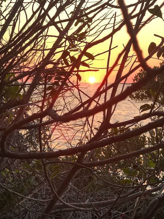 Foto 9 von 36: Ein weiterer Tag im Paradies