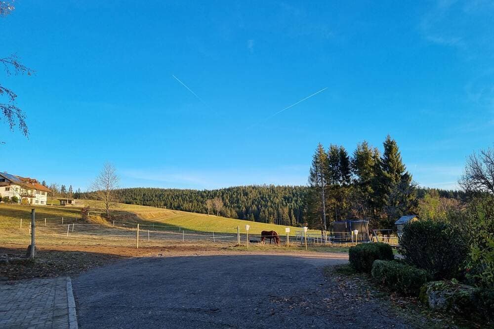 Foto 10 von 14: Urlaub bei uns Daheim