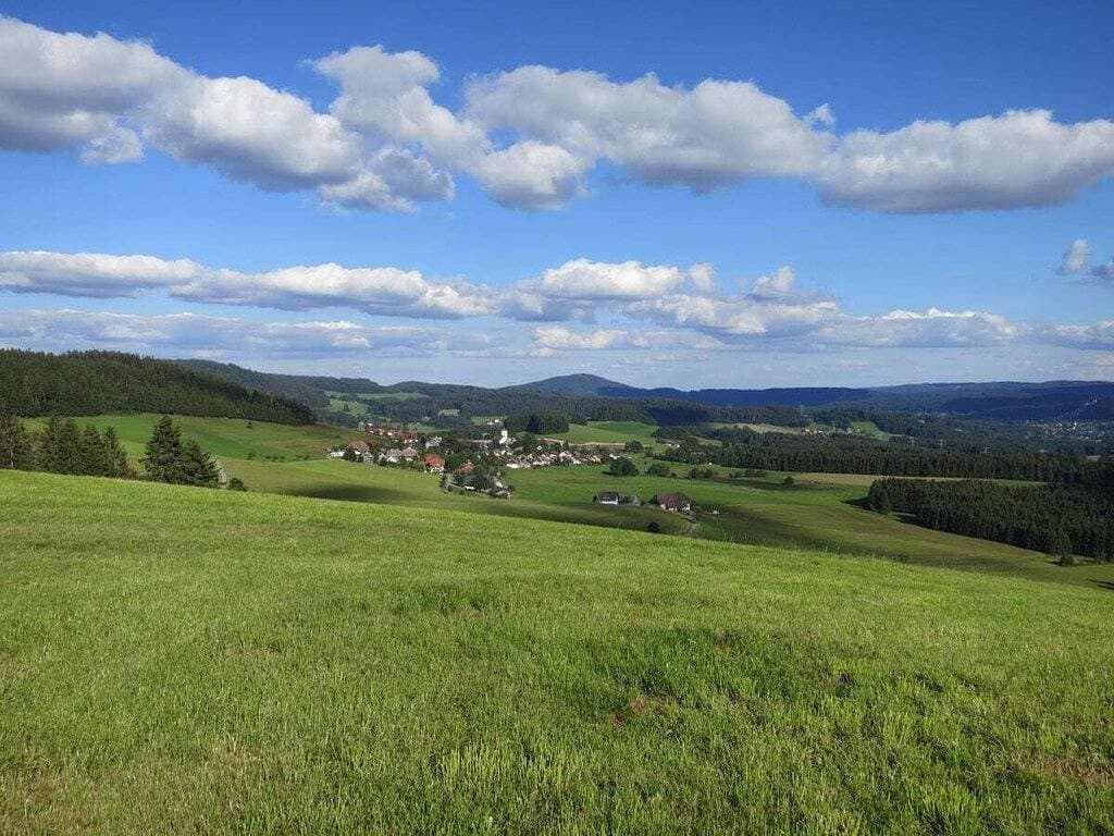 Foto 5 von 25: Ferienwohnung in Breitnau mit Wifi