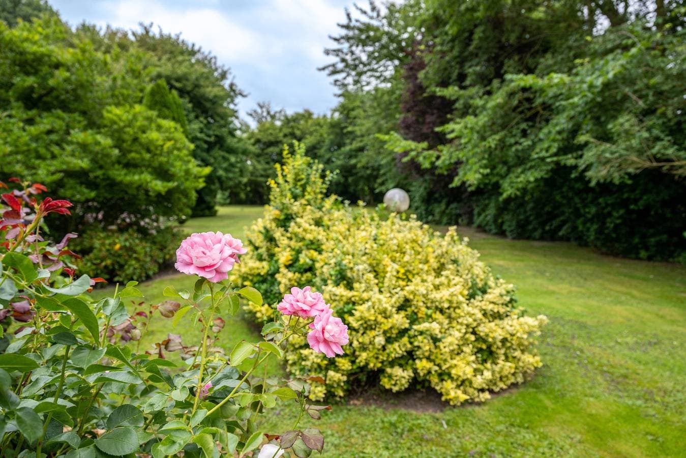 Foto 6 von 45: Ferienwohnung 'Ella Walter, Kiek in' mit Privatterrasse, großem Garten