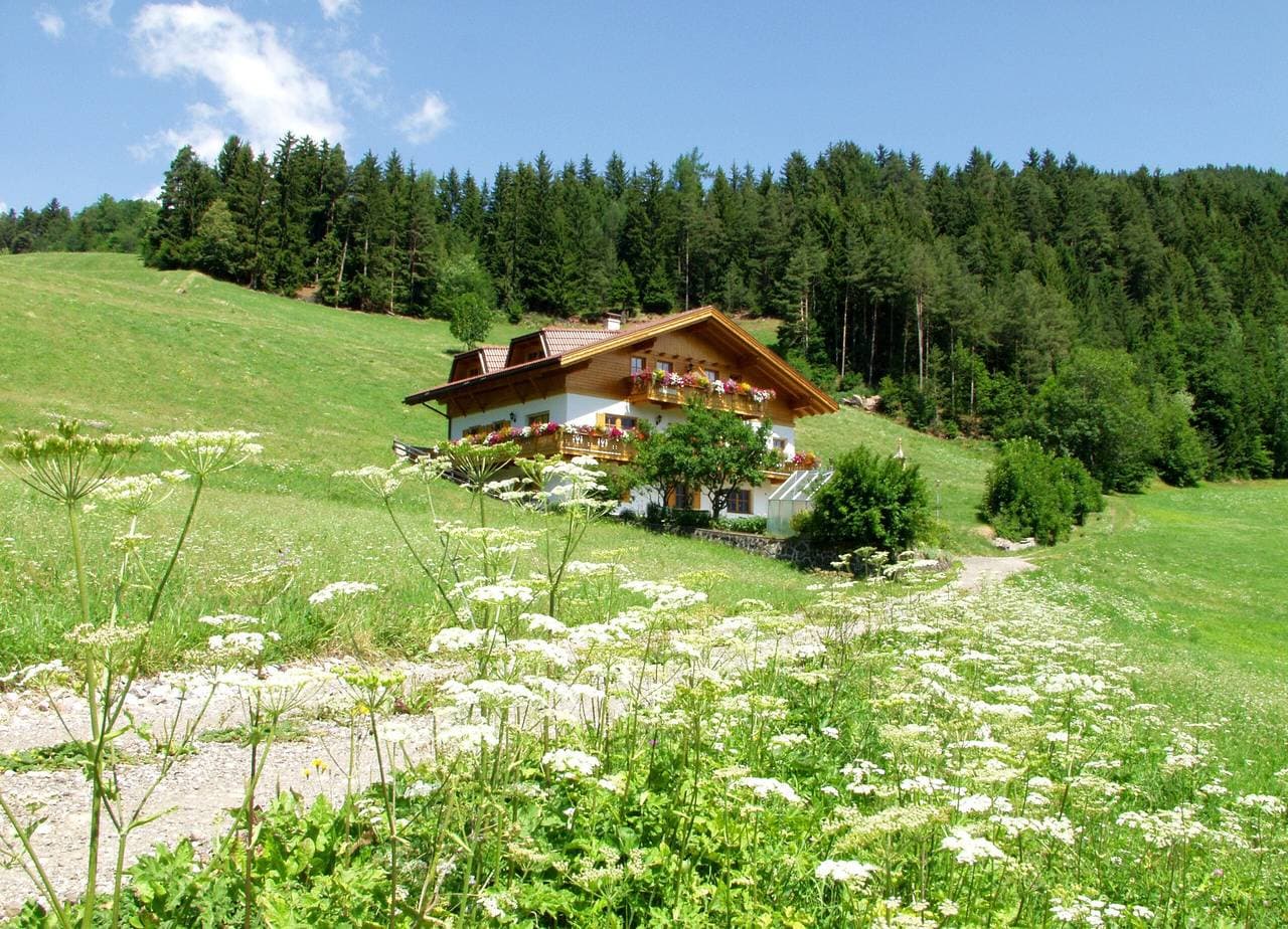 Foto 4 von 31: Ferienwohnung 'Bergblick - Lärche' mit Bergblick, Garten & WLAN