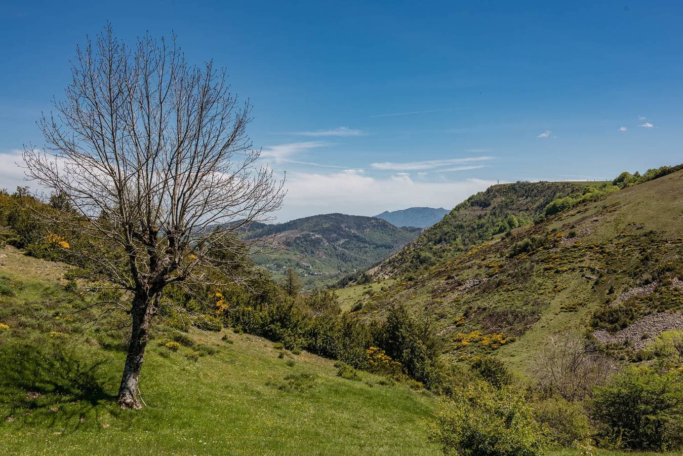 Foto 13 von 15: Gîtes de France 2 pers à Bézuc