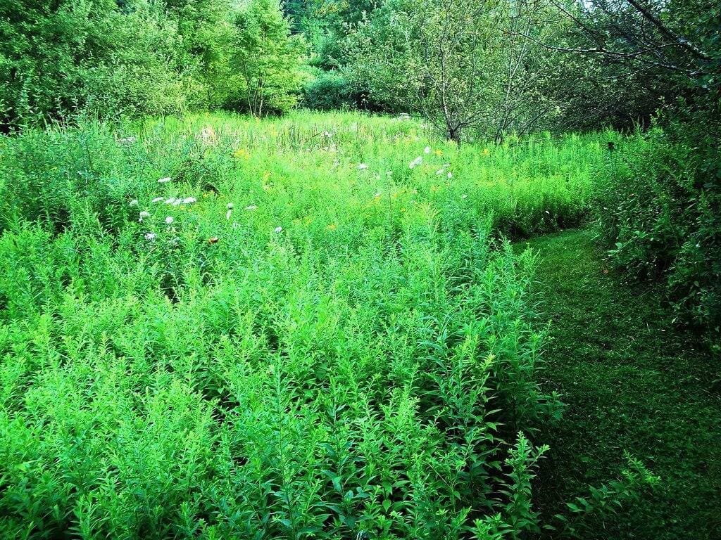 Foto 11 von 52: Gemütliche umgebaute Scheune in Alleinlage 6,5 Hektar