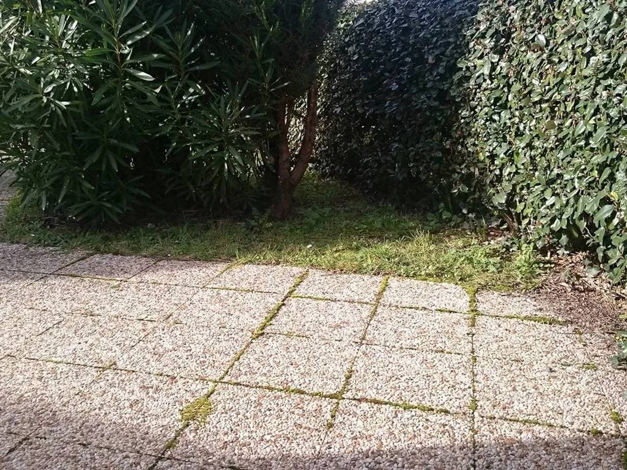Foto 10 von 11: Haus 50m² nahe Strand in Le Croisic mit Parkplatz