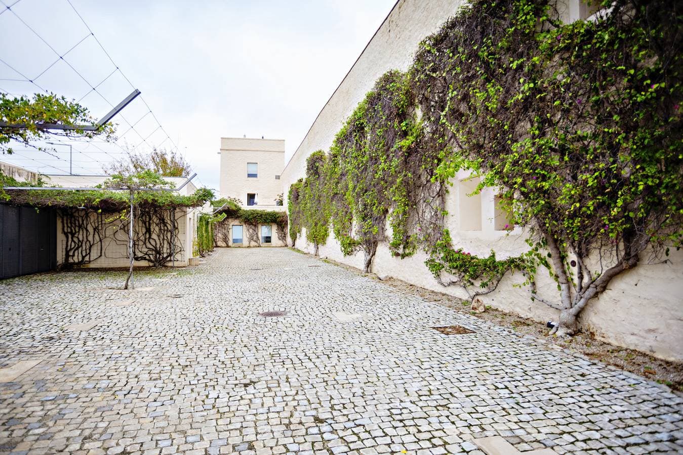 Foto 10 von 12: Cv Ar- Convento das Bernardas