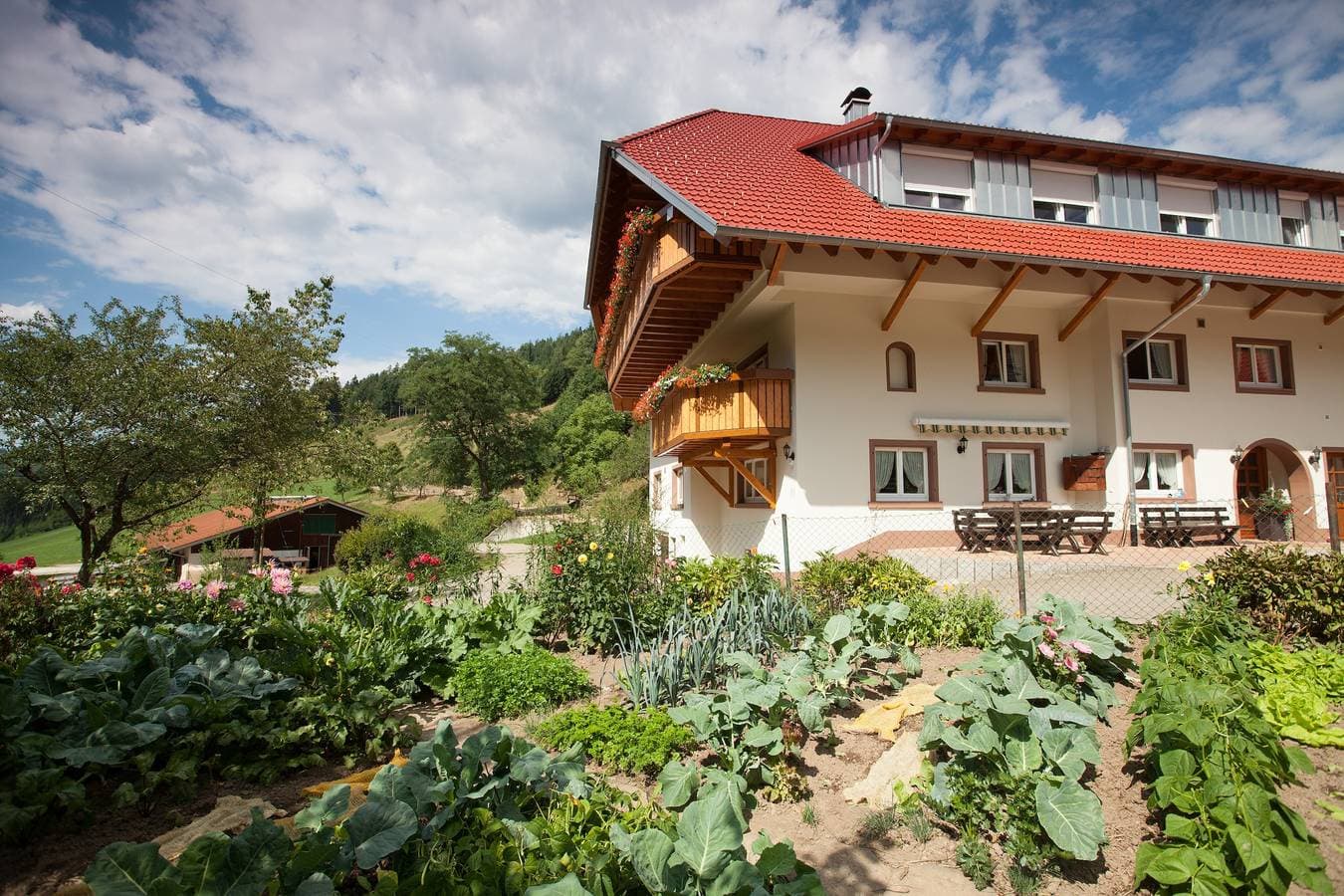Foto 13 von 26: 'Gästezimmer Hörnlebergblick' mit gemeinsamer Terrasse, gemeinsamem Garten und Wi-Fi