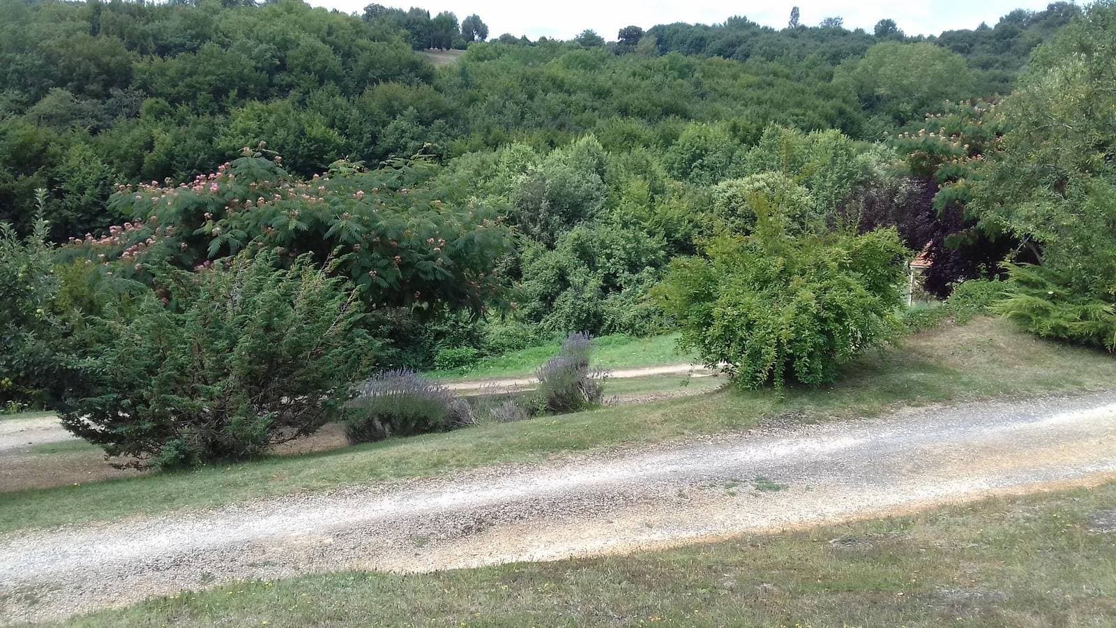Foto 12 von 15: Le Brugal pour 6
