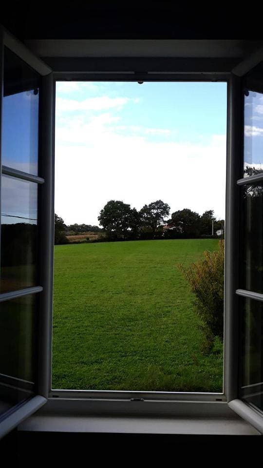 Foto 8 von 9: Double Room with Garden View