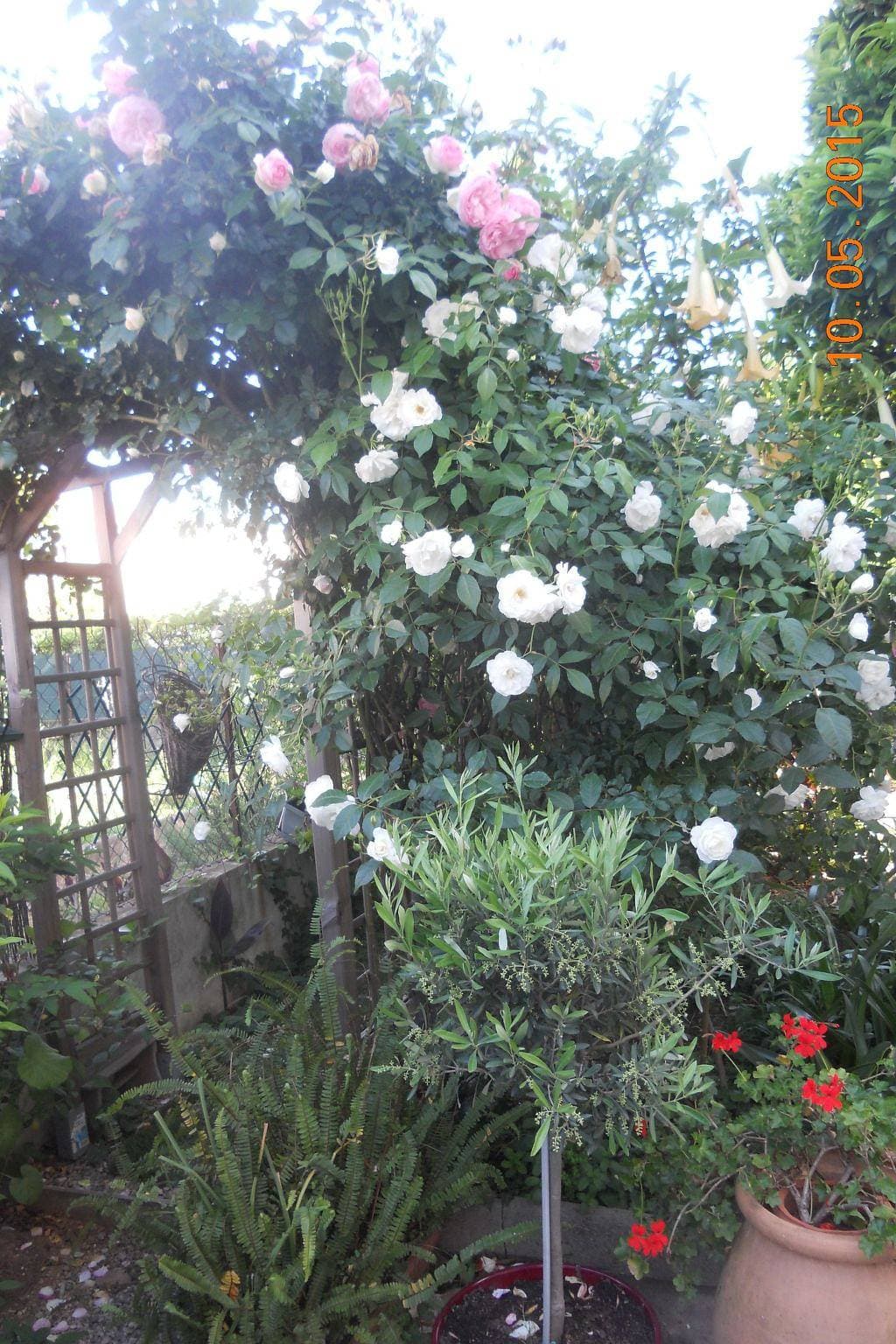 Foto 8 von 48: Wohnung "Les roses" auf einem eingemauerten Grundstück