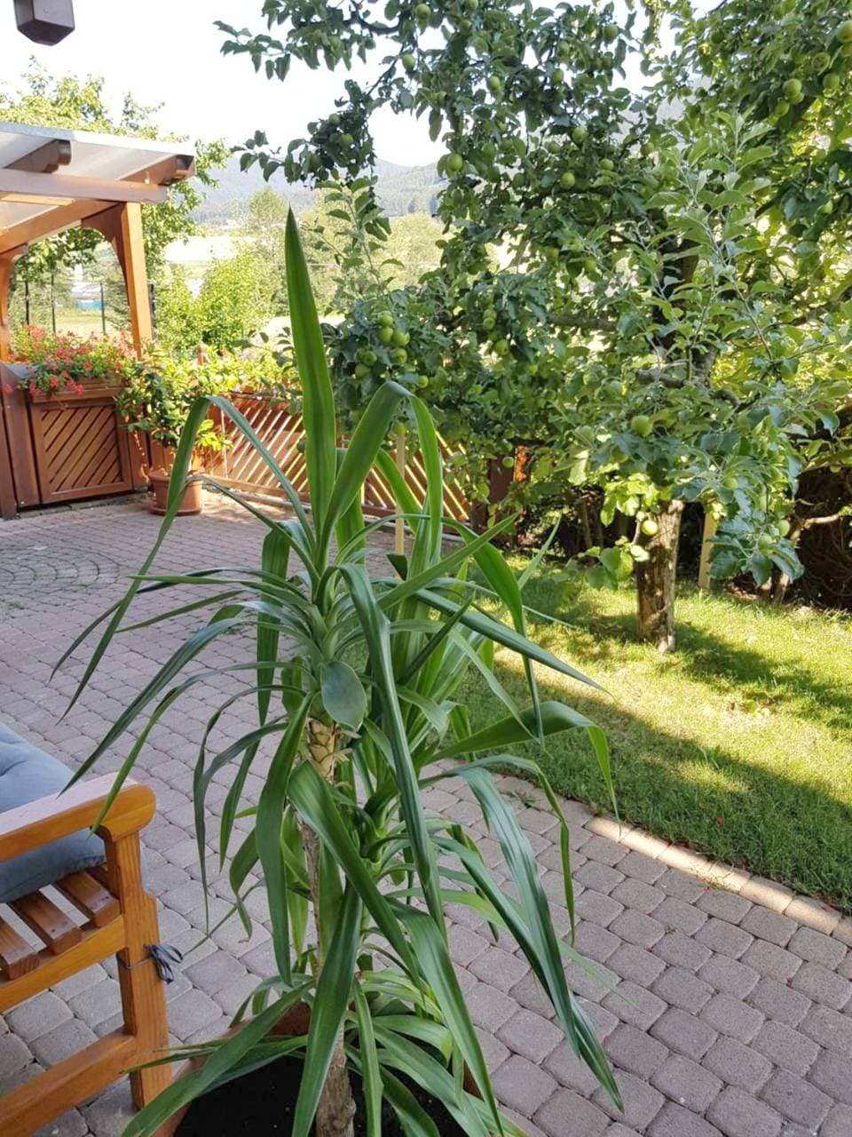 Foto 4 von 54: Apartment with Mountain View