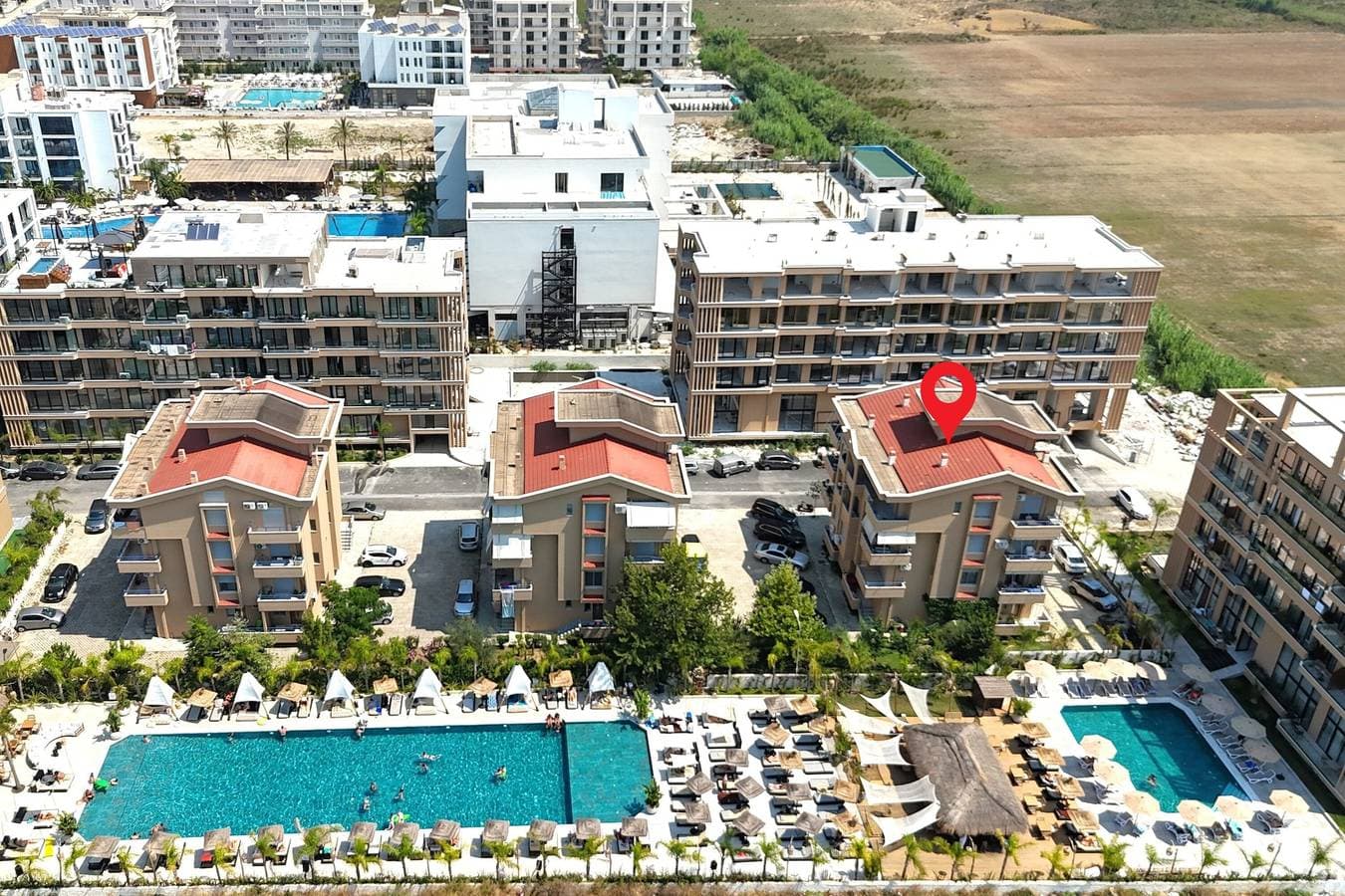 Pool View Palm 002 1
