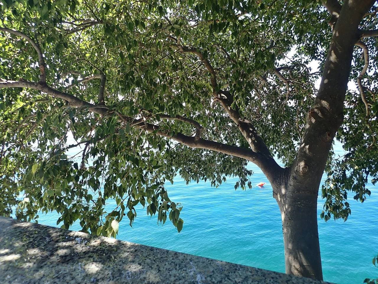 Foto 10 von 43: Apartments Lilly by the sea