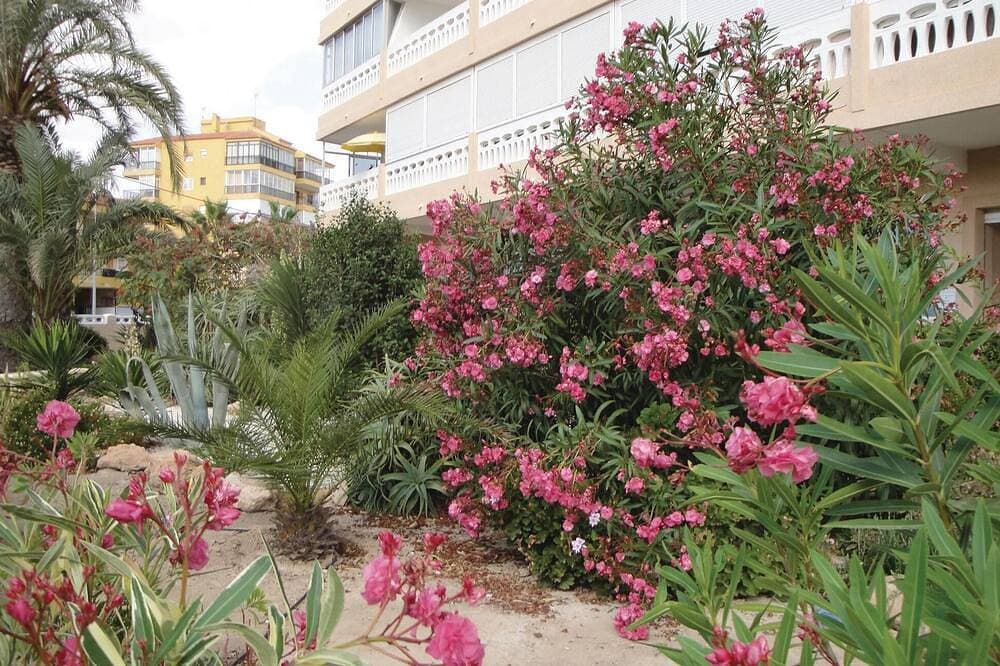 Foto 9 von 30: Fantastische Wohnung in Torrevieja