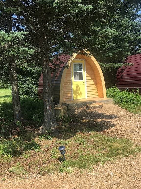 Foto 3 von 6: White Birch Camping Pod at The Spruces