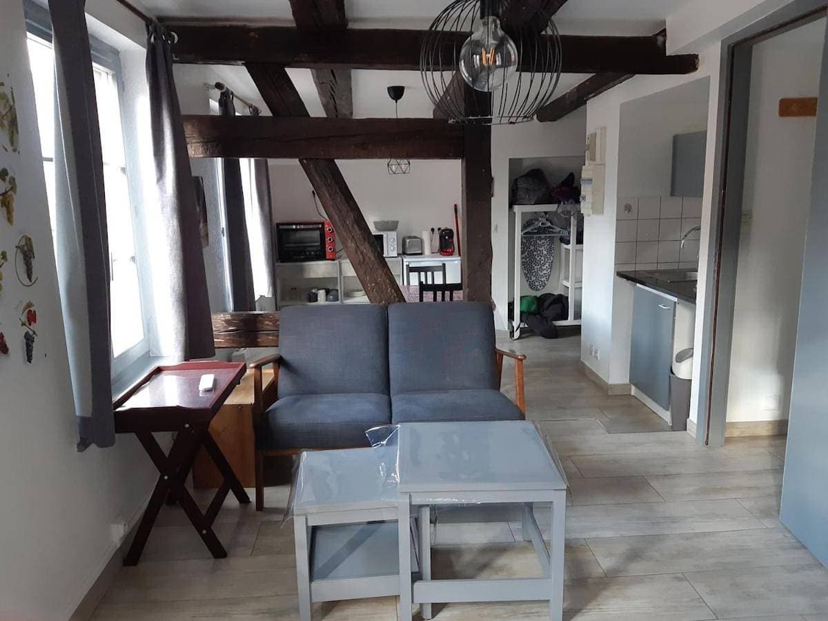 charmant studio lumineux situé au centre ville 1