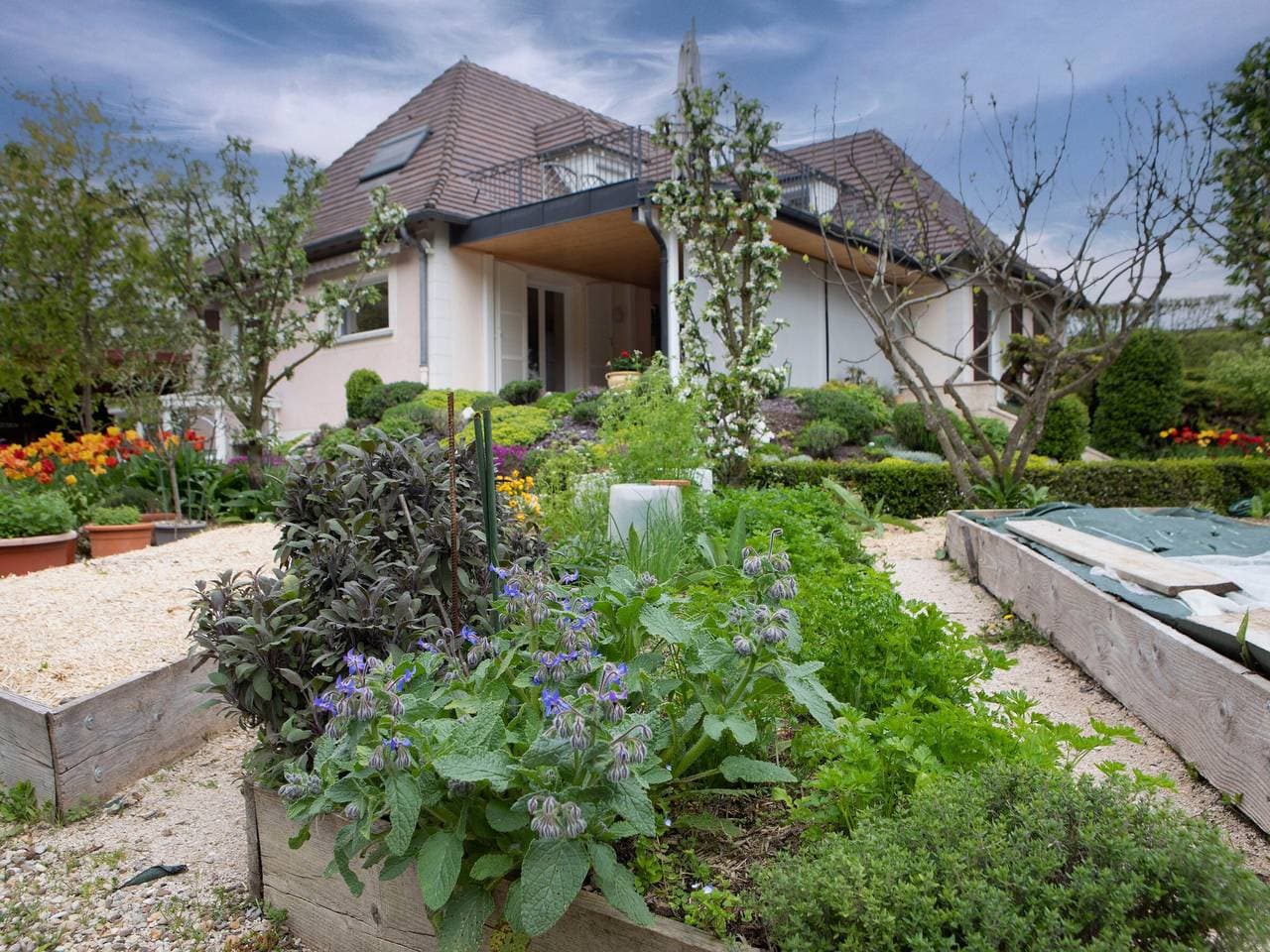 Foto 10 von 25: Gemütliches Zimmer mit Terrasse in Nuits-Saint-Georges