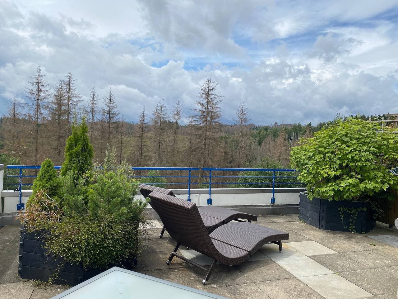 Ferienwohnung Harz #3, Pool, Sauna, WLAN 1