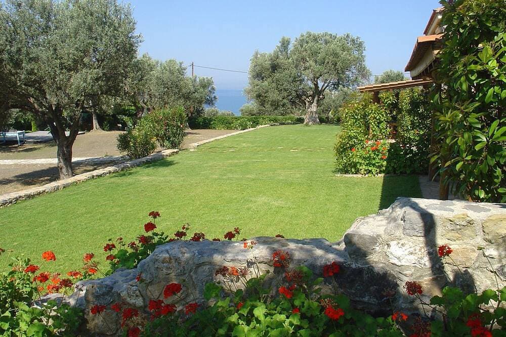 Foto 6 von 21: Villa umgeben von Olivenhainen, 200 Meter vom Meer entfernt