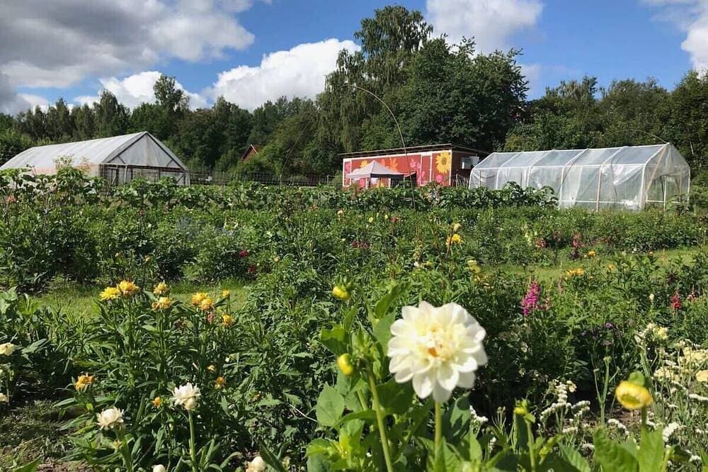 Foto 10 von 27: «Åmmebergs Blommor» von Tiny Away