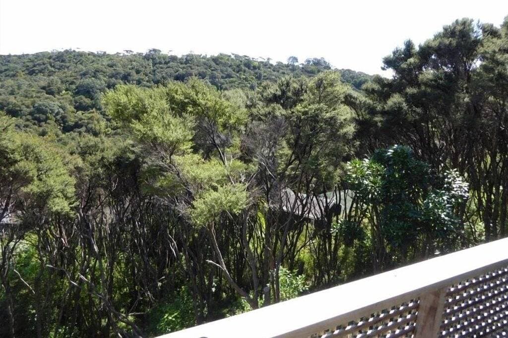Foto 10 von 15: *** Waiheke Island - Buchen Sie 4 x pro Woche und zahlen Sie nur 2 ***