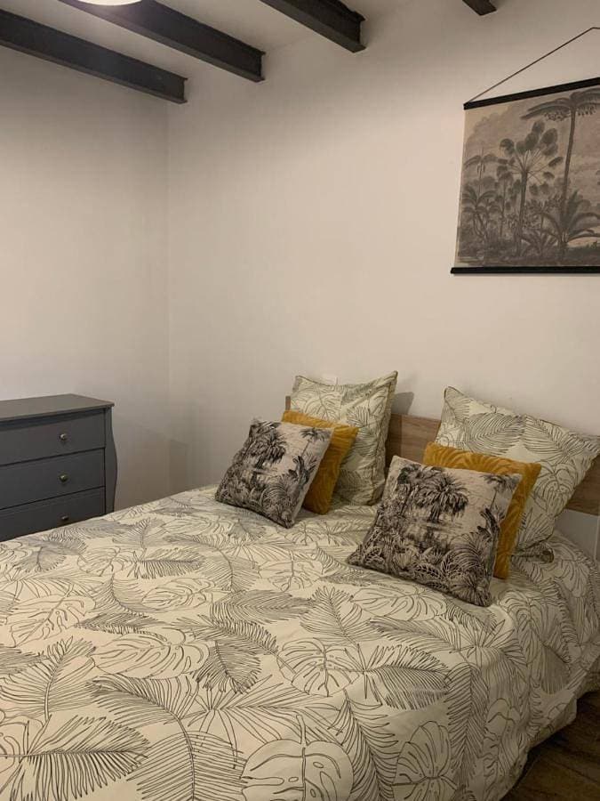 Jolie appartement centre ville 1